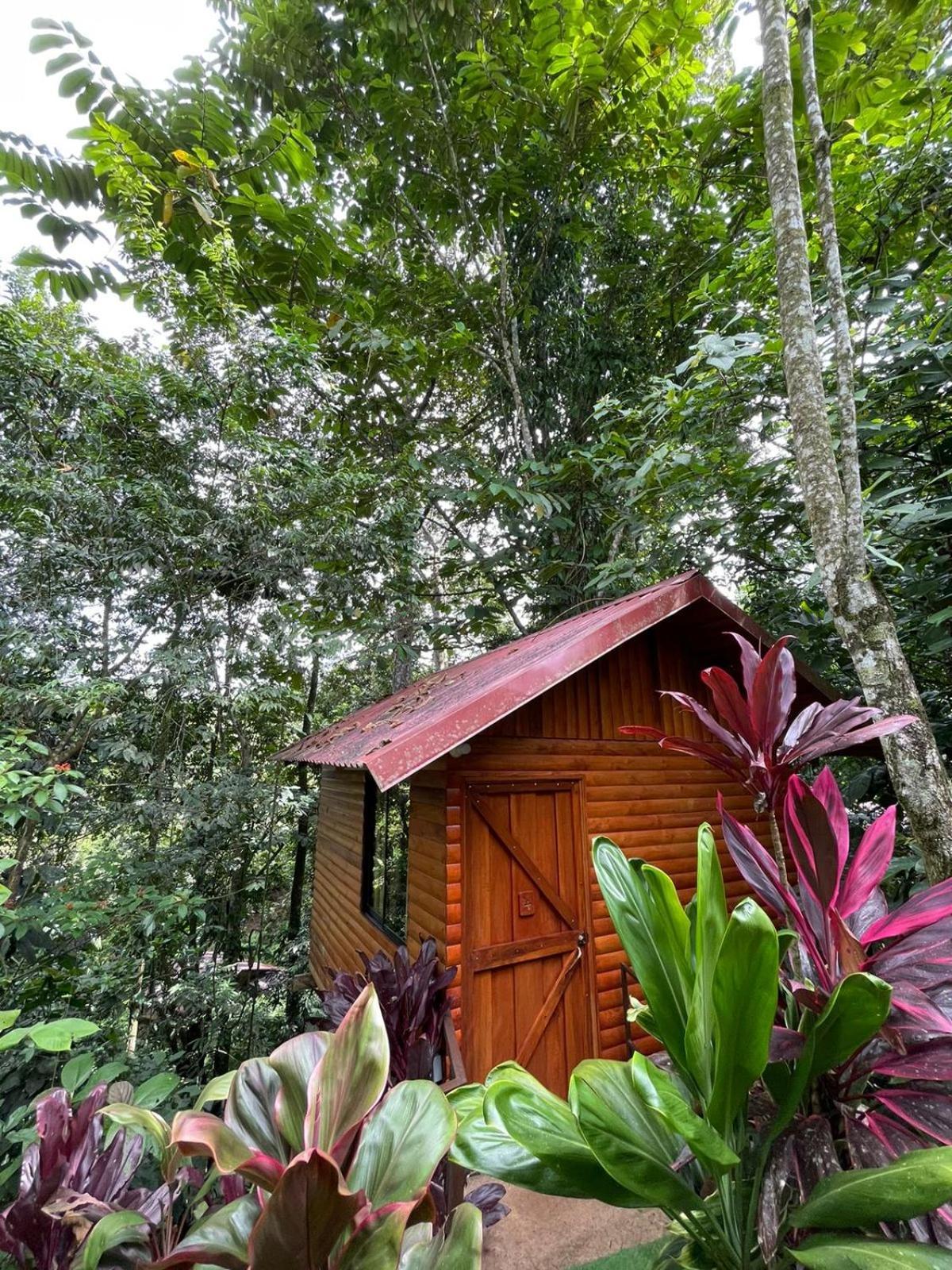 Arenal Rustic Lodge La Fortuna Eksteriør billede