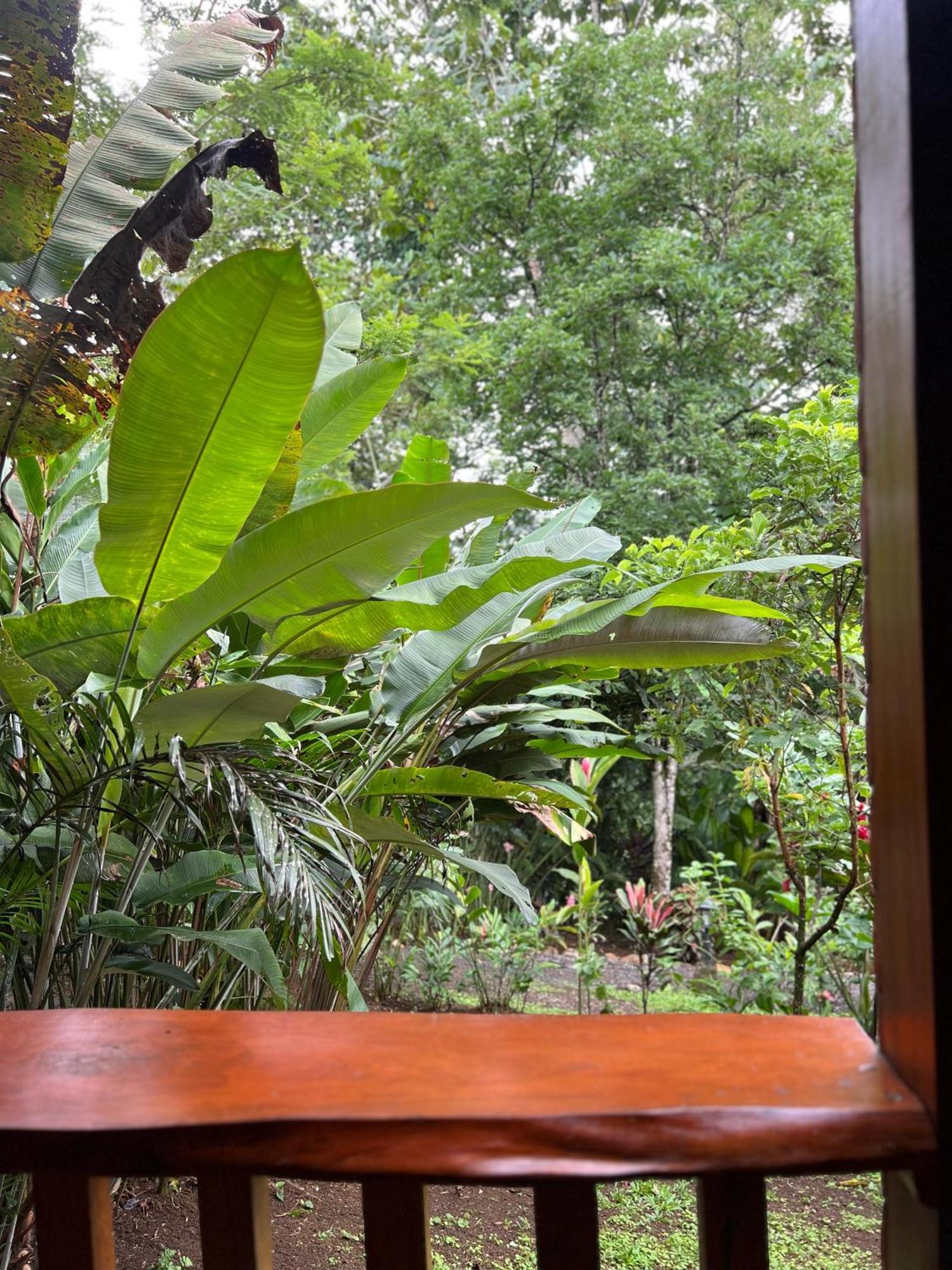 Arenal Rustic Lodge La Fortuna Eksteriør billede