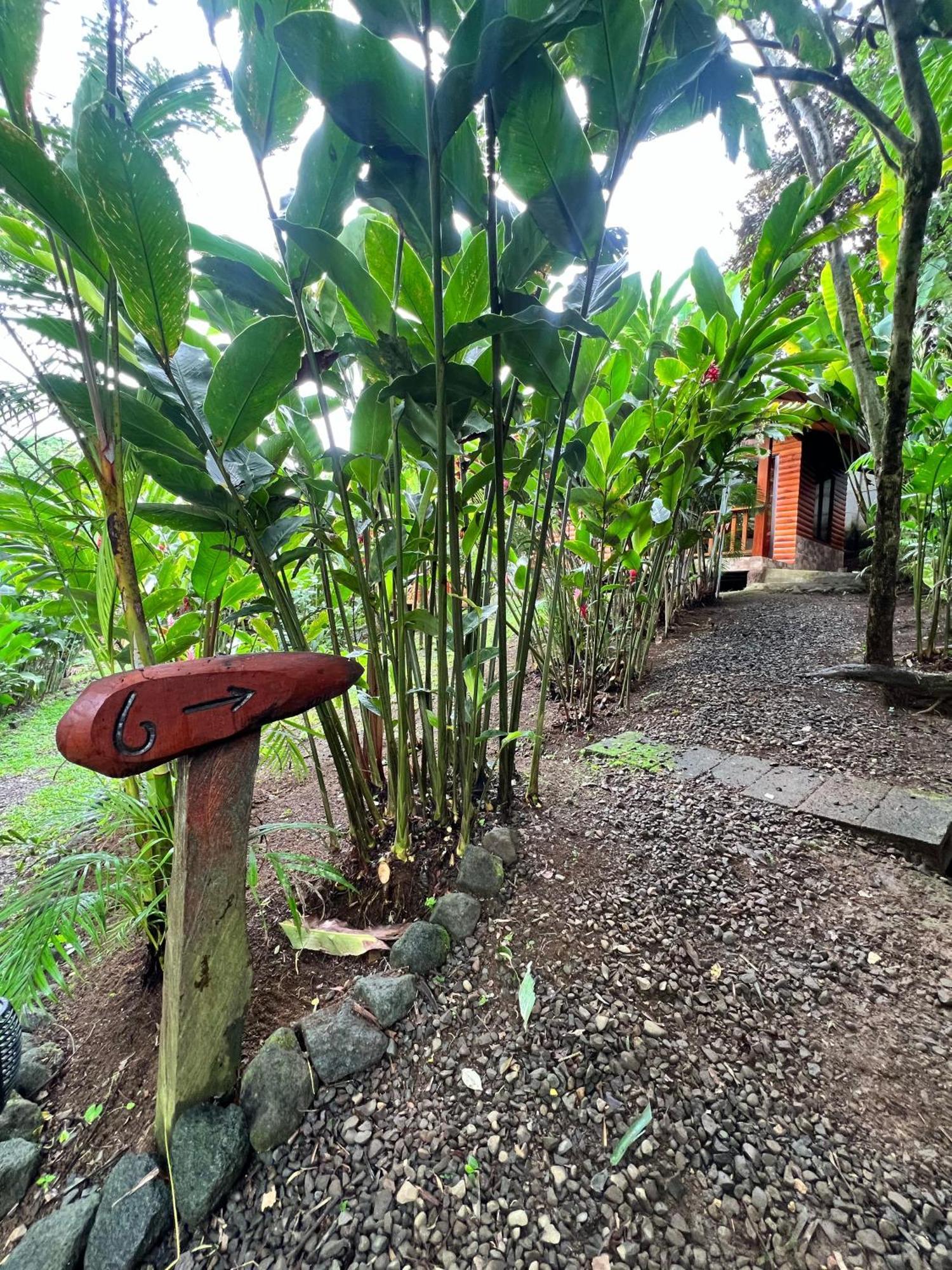 Arenal Rustic Lodge La Fortuna Eksteriør billede
