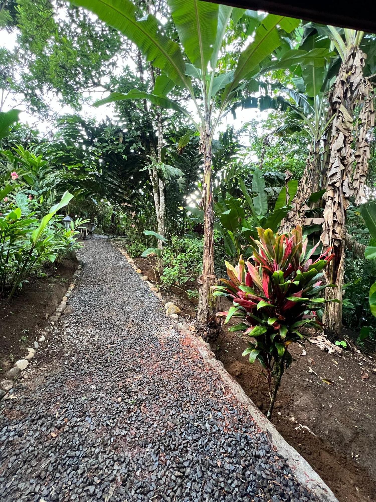 Arenal Rustic Lodge La Fortuna Eksteriør billede
