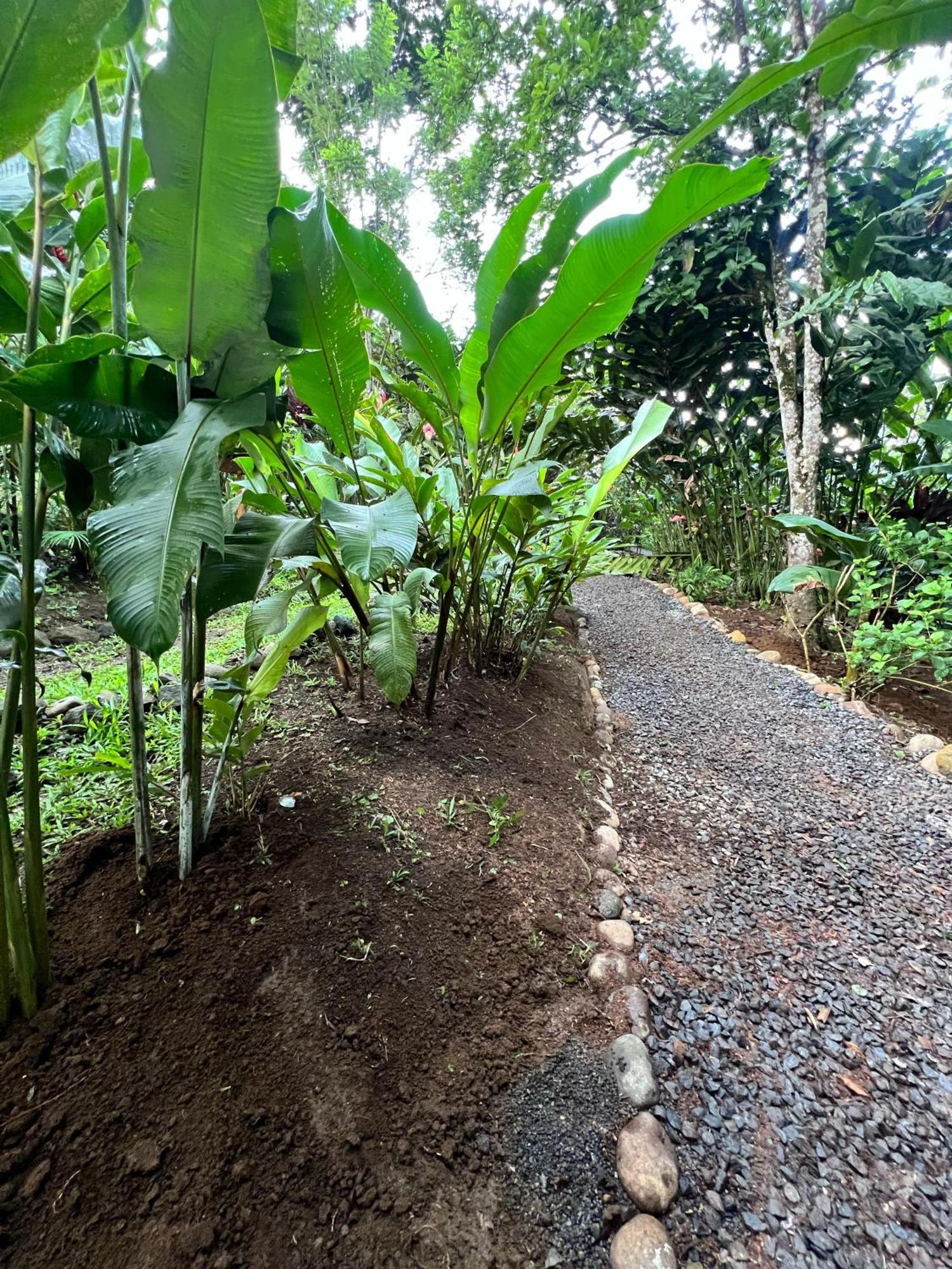 Arenal Rustic Lodge La Fortuna Eksteriør billede
